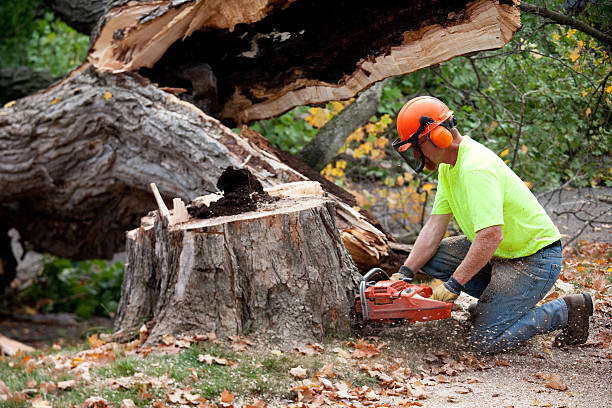 Soil Testing and Treatment in South Gull Lake, MI